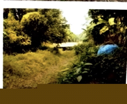 UCO Bank Auctions for Residential property in Khordha, Odisha image 2 of 2 in Bhubaneswar, Khordha | UCO Bank auction property