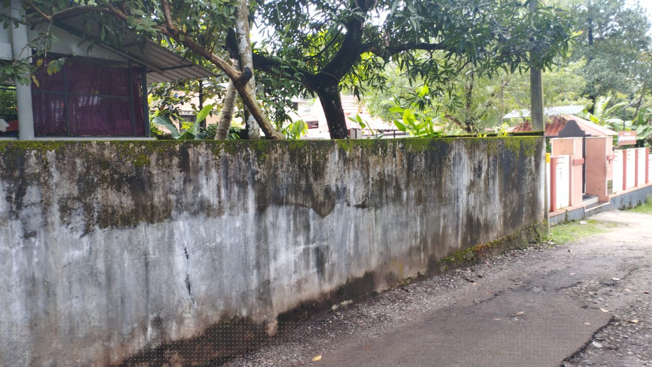 Punjab National Bank Auctions for Residential property in Kollam, Kerala image 4 of 4 in Mayyanad, Kollam | Punjab National Bank auction property