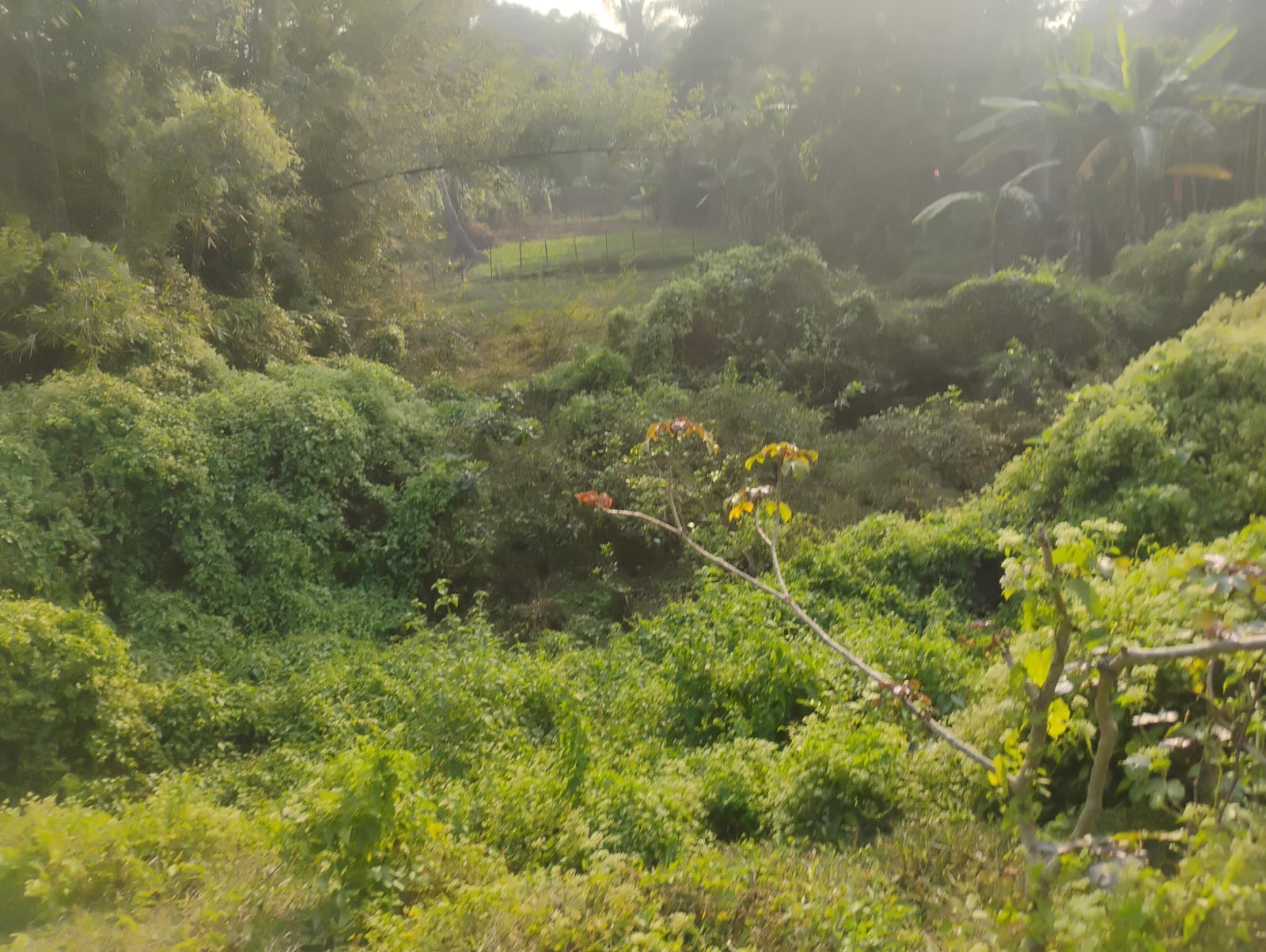 UCO Bank Auctions for Residential property in Balasore, Odisha image 2 of 2 in BAHARDA BAZAR, Balasore | UCO Bank auction property