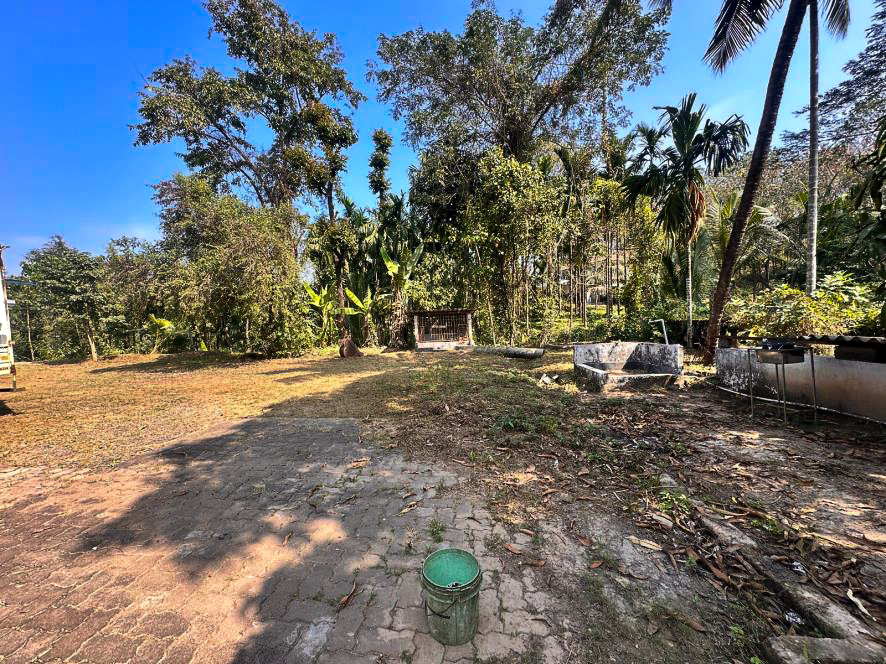 Bank of Baroda Auctions for Commercial property in Dakshina Kannada, Karnataka image 21 of 24 in Nelyady, Dakshina Kannada | Bank of Baroda auction property