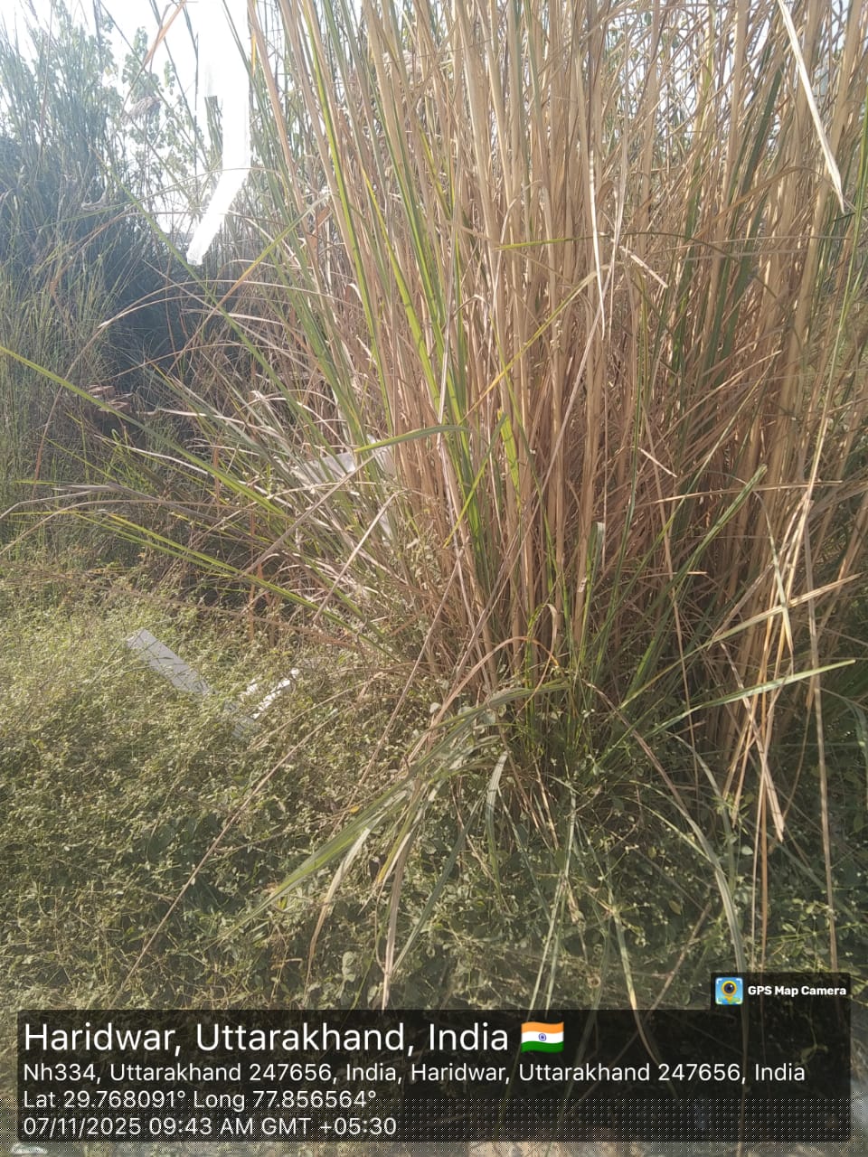 Bank of Maharashtra Auctions for Residential property in Haridwar, Uttarakhand image 2 of 2 in Manglaur, Haridwar | Bank of Maharashtra auction property