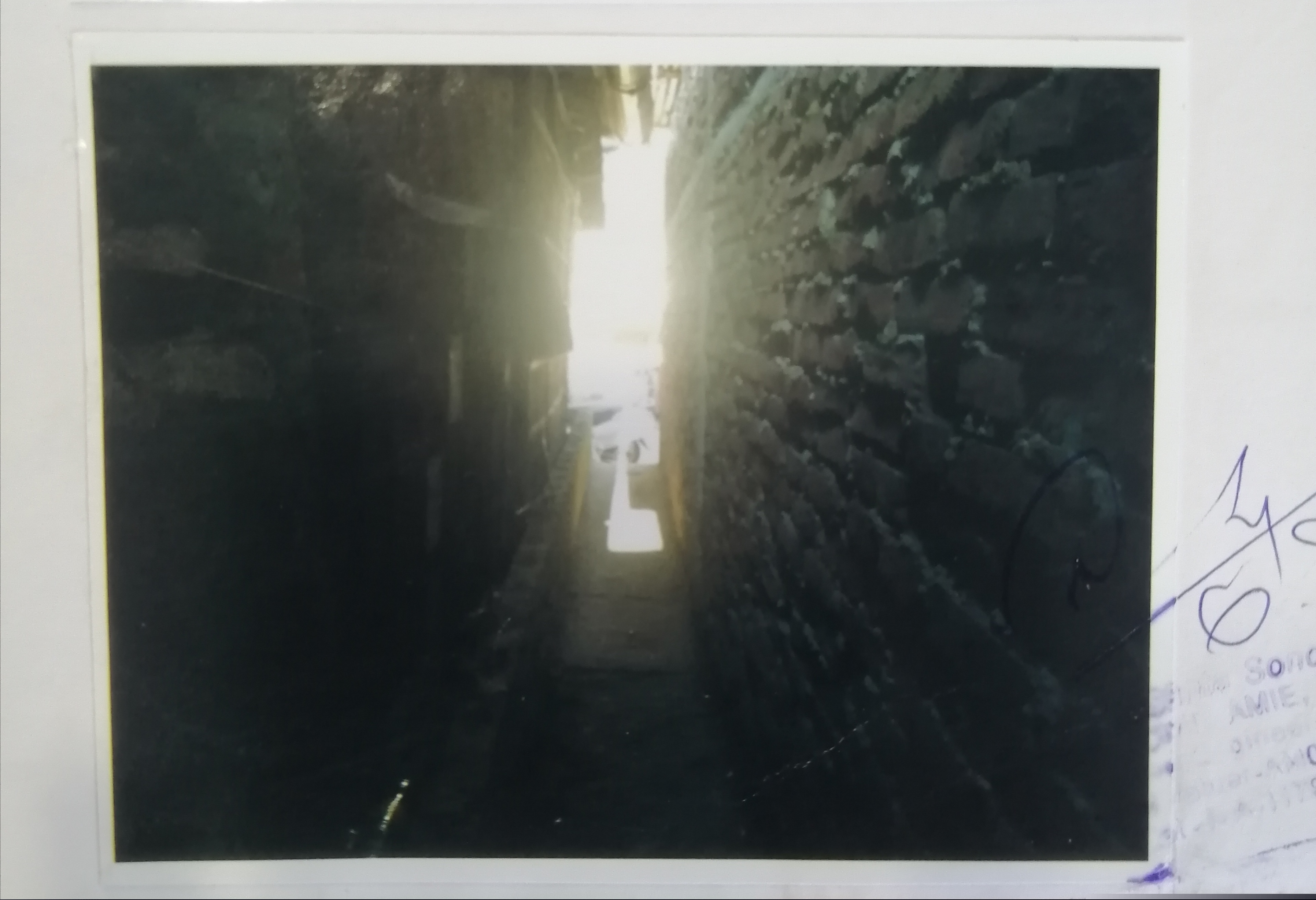 UCO Bank Auctions for Residential property in Dibrugarh, Assam image 3 of 3 in Barbari AMC Area, Dibrugarh | UCO Bank auction property