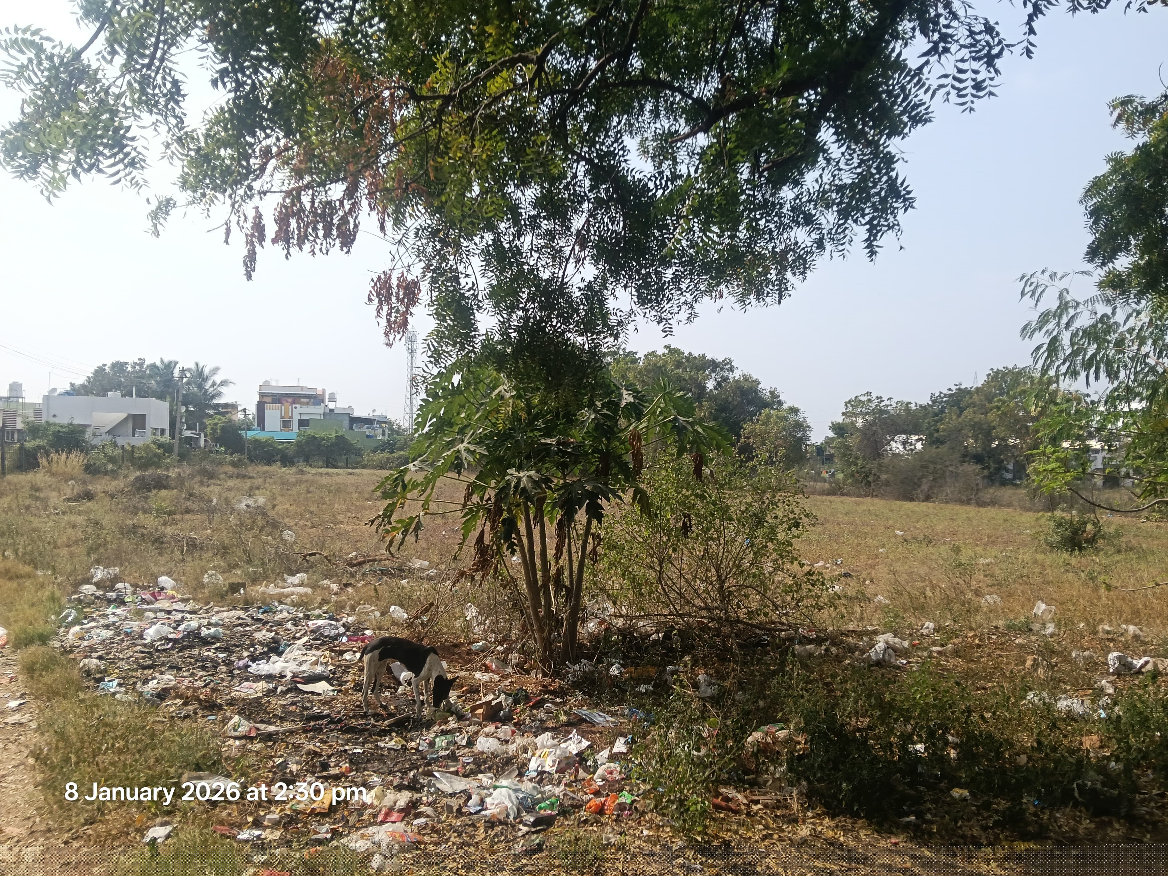 Punjab National Bank Auctions for Residential property in Tiruppur, Tamil Nadu image 12 of 13 in Tiruppur, Tiruppur | Punjab National Bank auction property