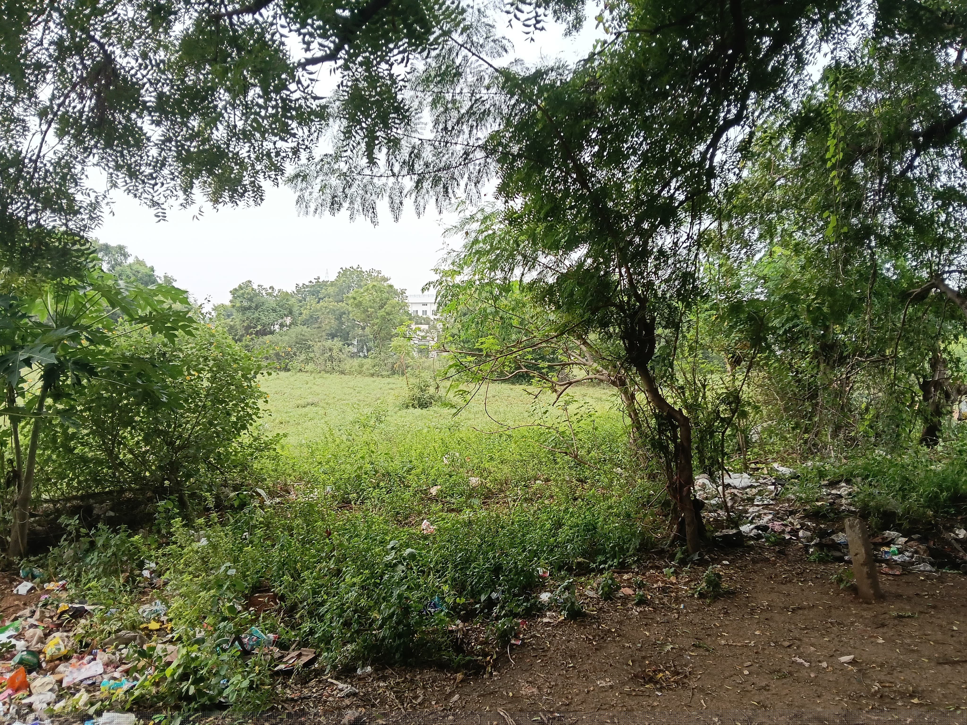 Punjab National Bank Auctions for Residential property in Tiruppur, Tamil Nadu image 5 of 13 in Tiruppur, Tiruppur | Punjab National Bank auction property