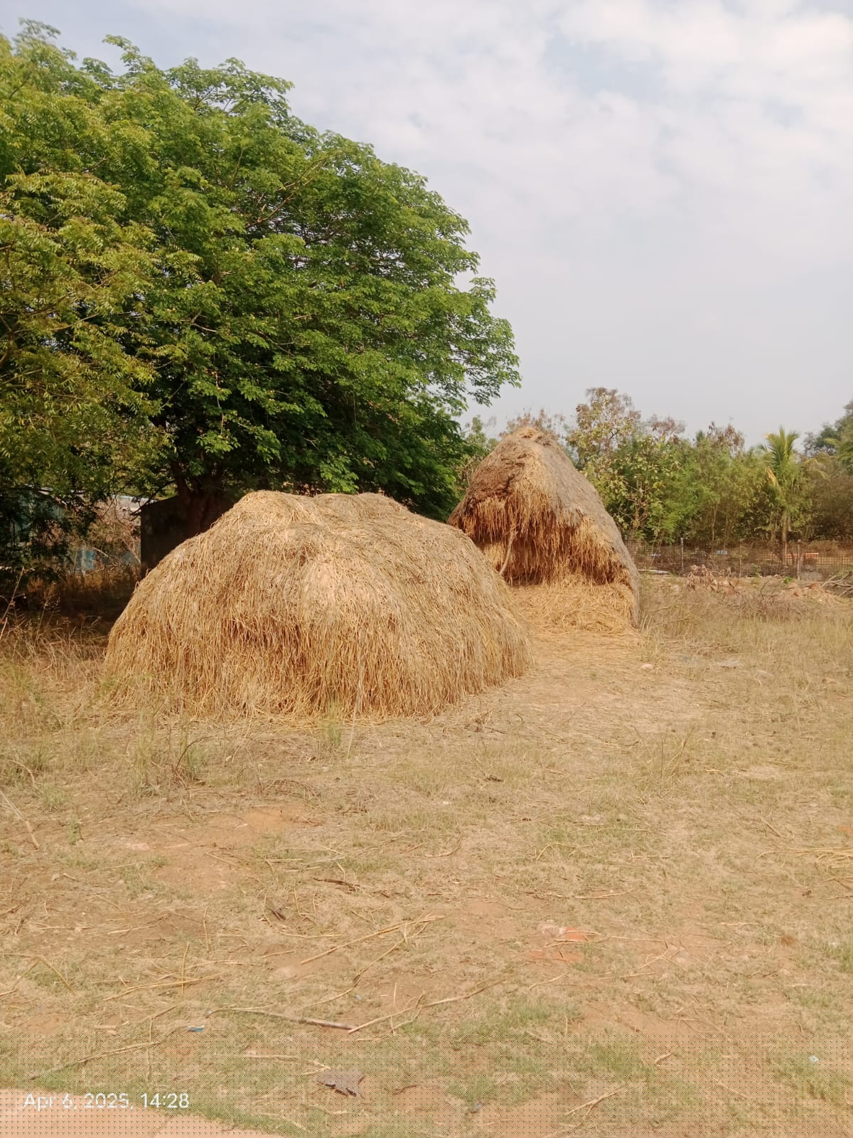 State Bank of India Auctions for Commercial property in Krishna, Andhra Pradesh image 2 of 3 in Industrial Park Veerapanenigudem, Krishna | State Bank of India auction property