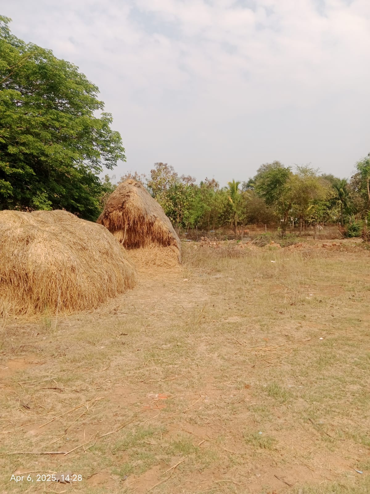 State Bank of India Auctions for Commercial property in Krishna, Andhra Pradesh image 3 of 3 in Industrial Park Veerapanenigudem, Krishna | State Bank of India auction property
