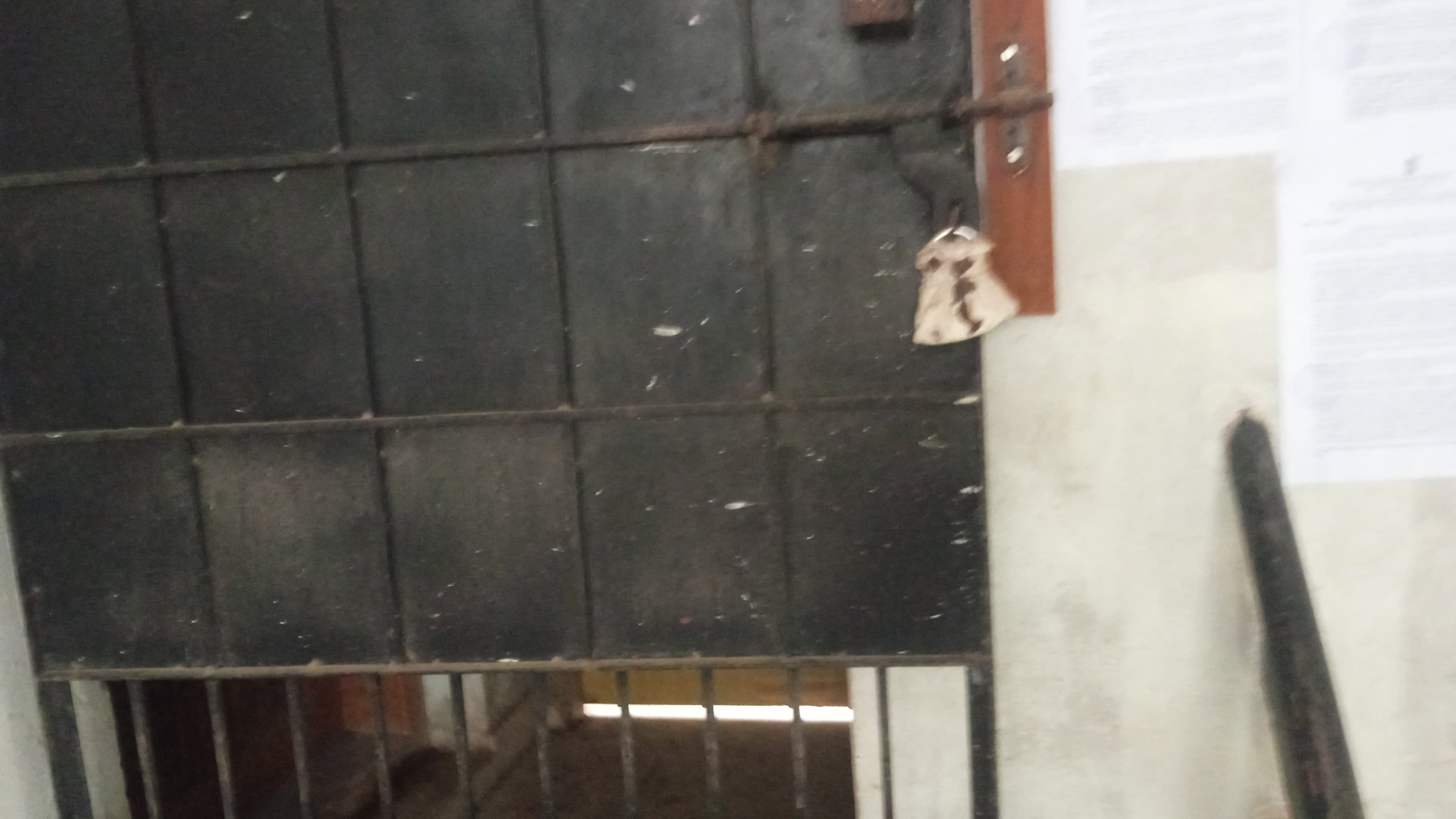 Bank of Baroda Auctions for Residential property in Kasaragod, Kerala image 5 of 7 in Bangra Manjeshwar, Kasaragod | Bank of Baroda auction property