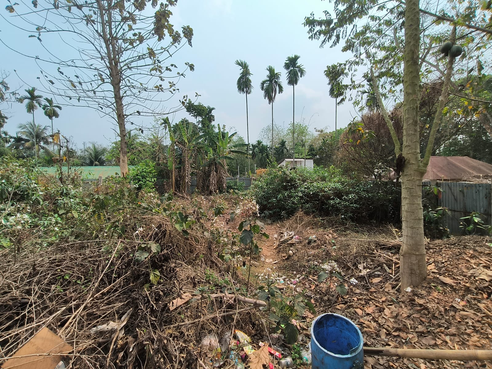 UCO Bank Auctions for Residential property in Sepahijala, Tripura image 3 of 5 in Gakulnagar, Sepahijala | UCO Bank auction property