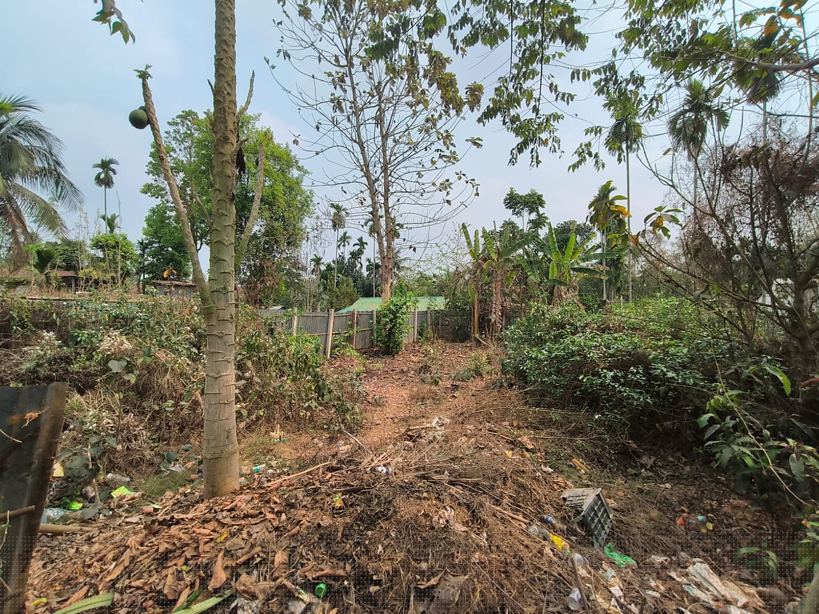 UCO Bank Auctions for Residential property in Sepahijala, Tripura image 4 of 5 in Gakulnagar, Sepahijala | UCO Bank auction property