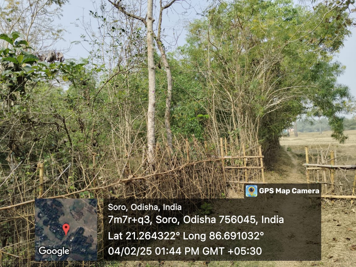 UCO Bank Auctions for Residential property in Balasore, Odisha image 2 of 3 in Soro, Balasore | UCO Bank auction property