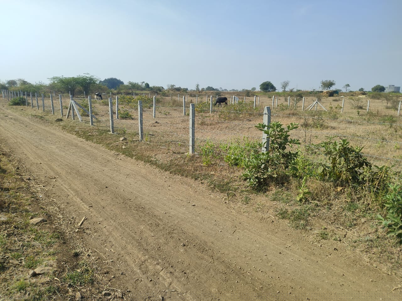 Punjab National Bank Auctions for Industrials property in Solapur, Maharashtra image 2 of 2 in Solapur, Solapur | Punjab National Bank auction property