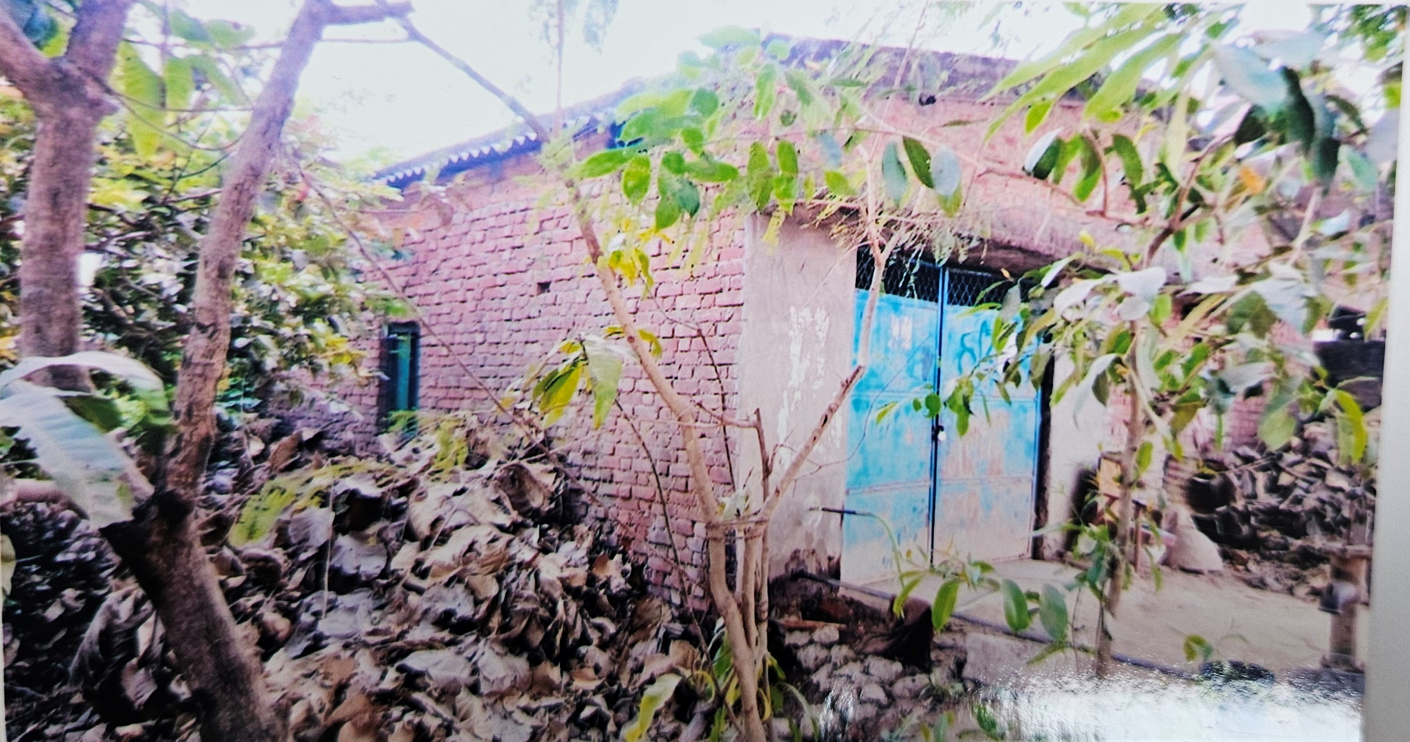 Punjab National Bank Auctions for Residential property in Deoria, Uttar Pradesh image 3 of 4 in Majhauliraj, Deoria | Punjab National Bank auction property