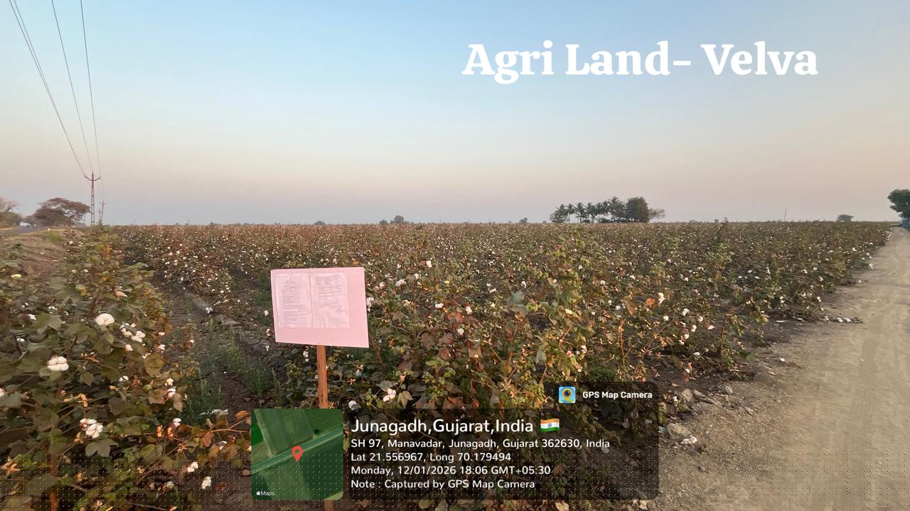 Union Bank of India Auctions for Commercial property in Gir Somnath, Gujarat image 2 of 3 in Kodinar, Gir Somnath | Union Bank of India auction property