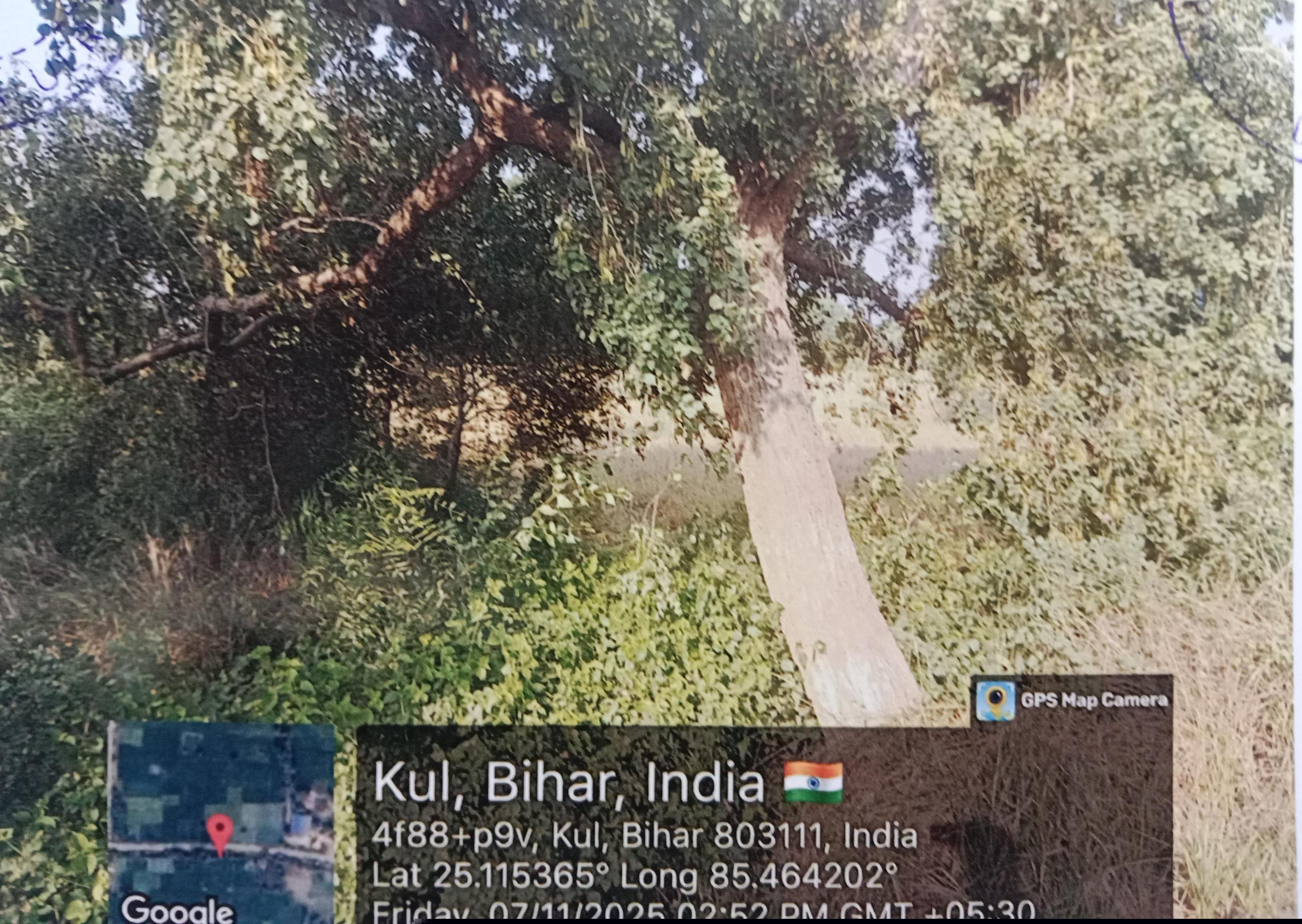 Punjab National Bank Auctions for Residential property in Nalanda, Bihar image 2 of 2 in Biharsharif, Nalanda | Punjab National Bank auction property