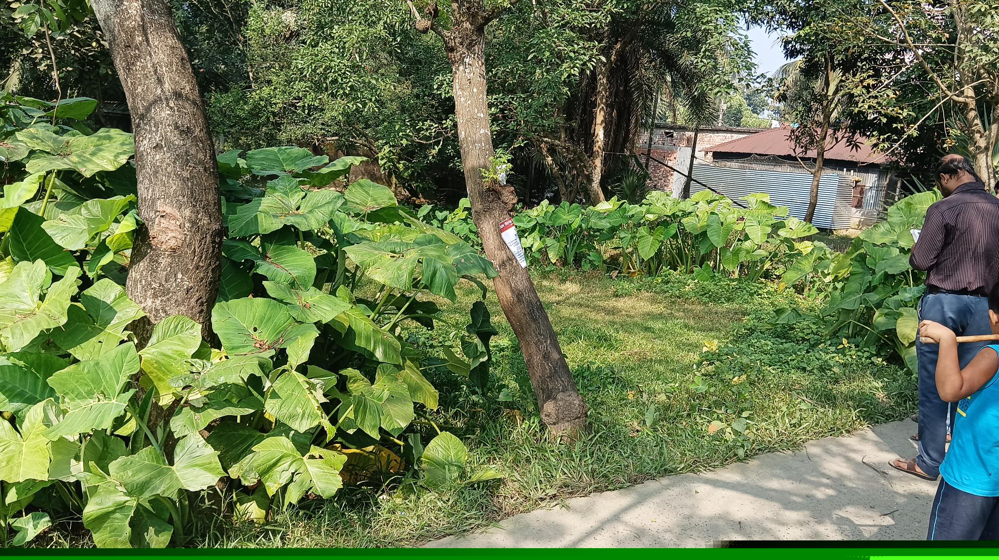 Punjab National Bank Auctions for Residential property in Malda, West Bengal image 2 of 2 in Bandhail, Malda | Punjab National Bank auction property