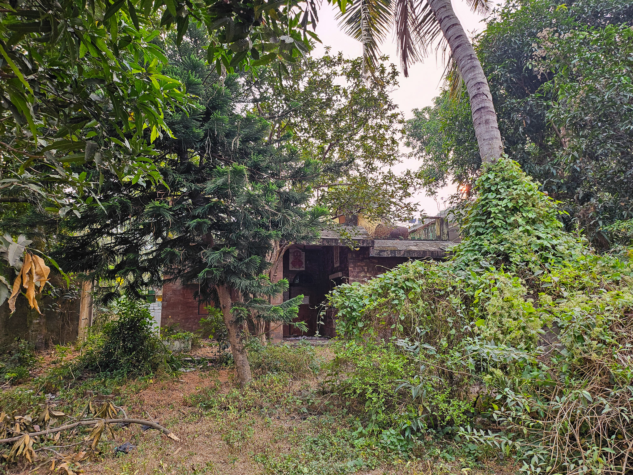 Bank of Baroda Auctions for Residential property in Jajpur, Odisha image 13 of 21 in Byasanagar, Jajpur | Bank of Baroda auction property