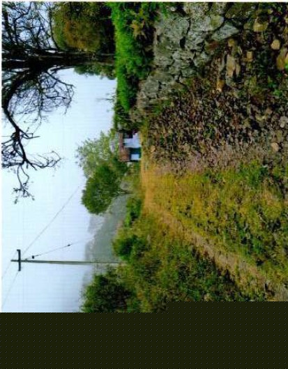 Canara Bank Auctions for Agriculture property in Nilgiris, Tamil Nadu image 2 of 4 in Kotagiri, Nilgiris | Canara Bank auction property