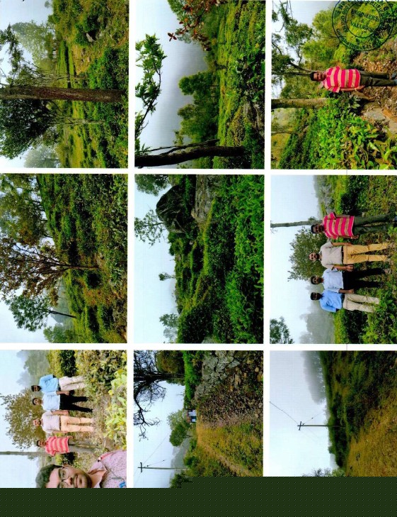 Canara Bank Auctions for Agriculture property in Nilgiris, Tamil Nadu image 3 of 4 in Kotagiri, Nilgiris | Canara Bank auction property