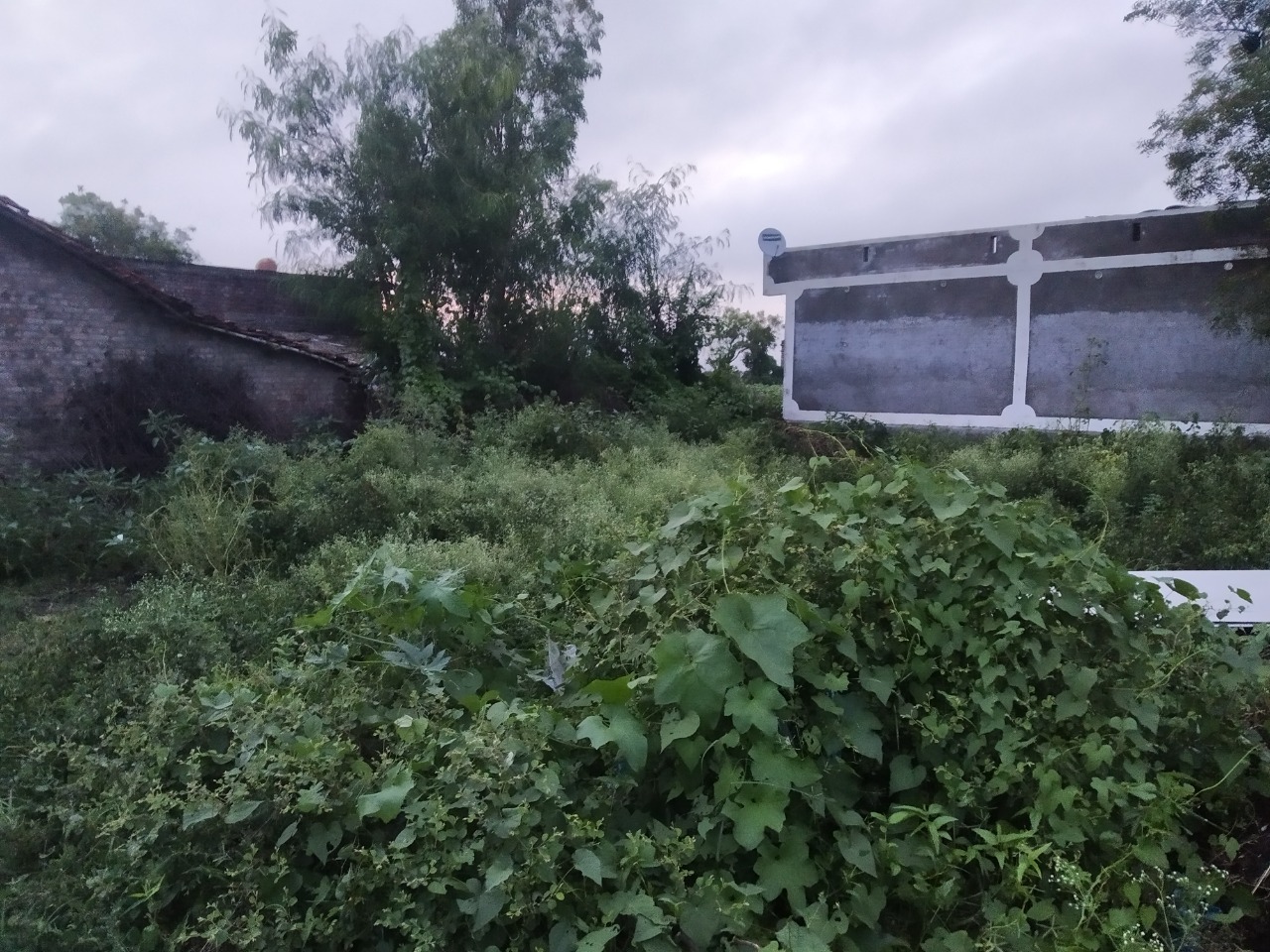 Bank of Baroda Auctions for Residential property in Amreli, Gujarat image 3 of 3 in Amreli, Amreli | Bank of Baroda auction property