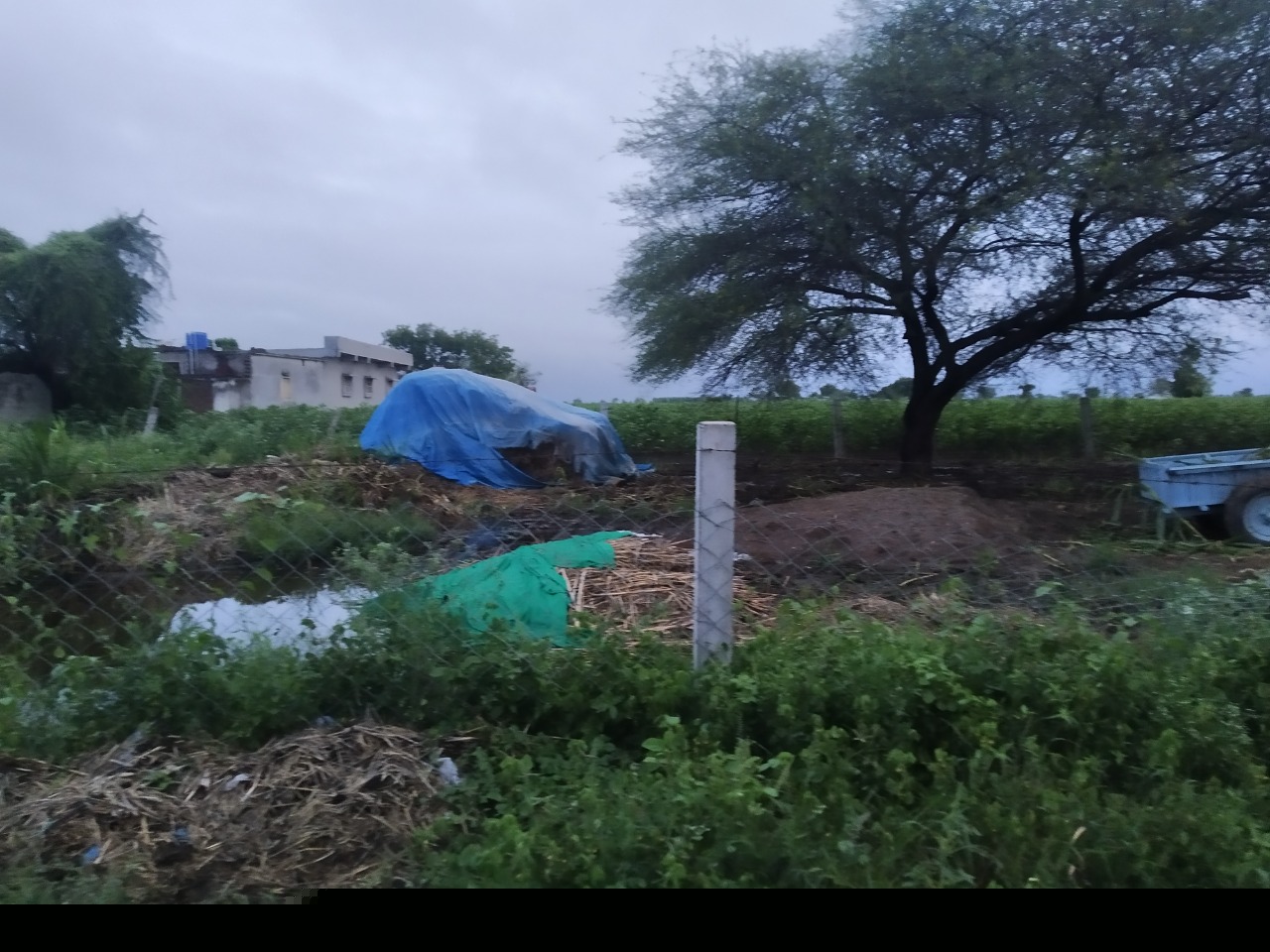 Bank of Baroda Auctions for Residential property in Amreli, Gujarat image 2 of 4 in Amreli, Amreli | Bank of Baroda auction property