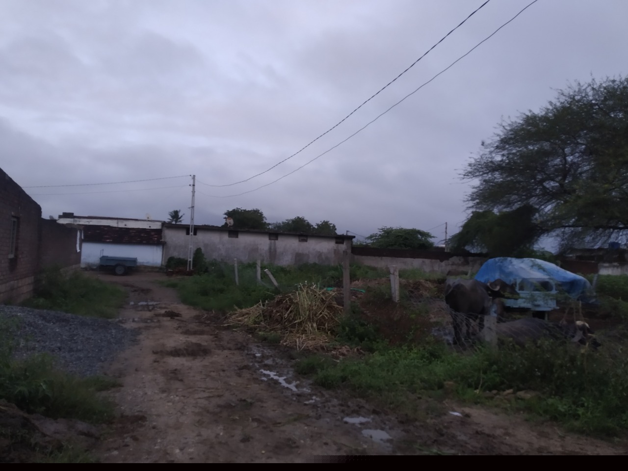 Bank of Baroda Auctions for Residential property in Amreli, Gujarat image 3 of 4 in Amreli, Amreli | Bank of Baroda auction property