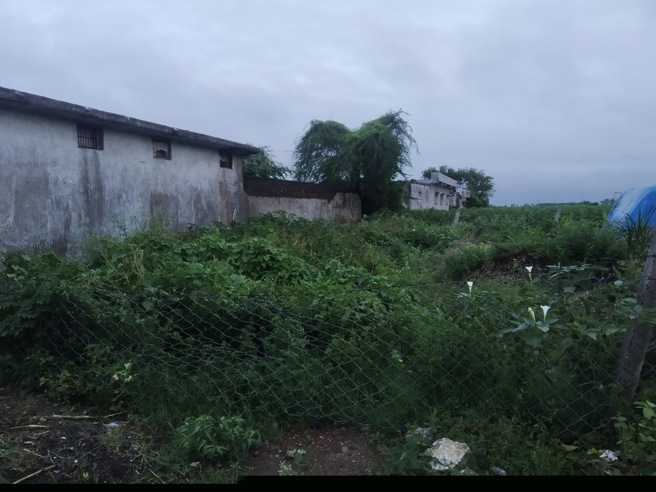 Bank of Baroda Auctions for Residential property in Amreli, Gujarat image 4 of 4 in Amreli, Amreli | Bank of Baroda auction property