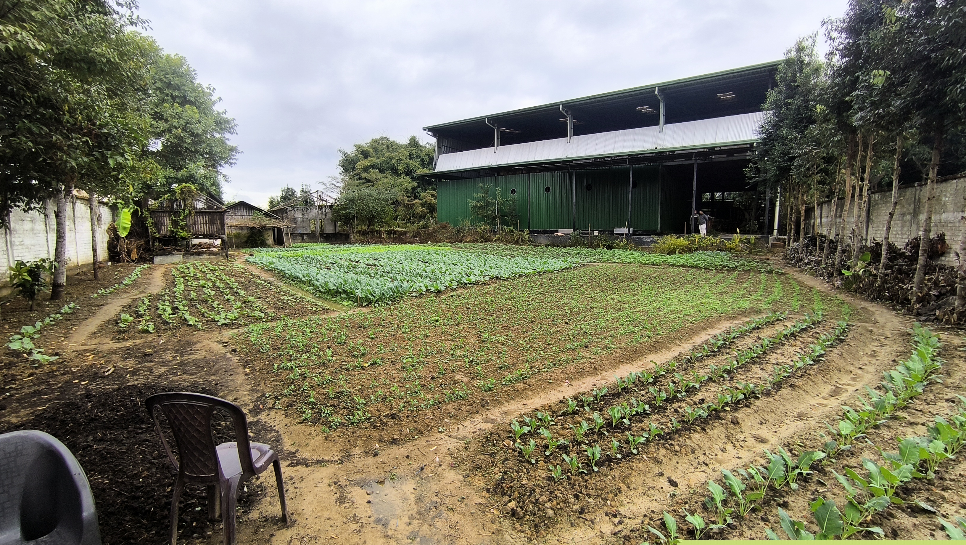 Indian Bank Auctions for Industrials property in Dibrugarh, Assam image 2 of 6 in Chabua, Dibrugarh | Indian Bank auction property