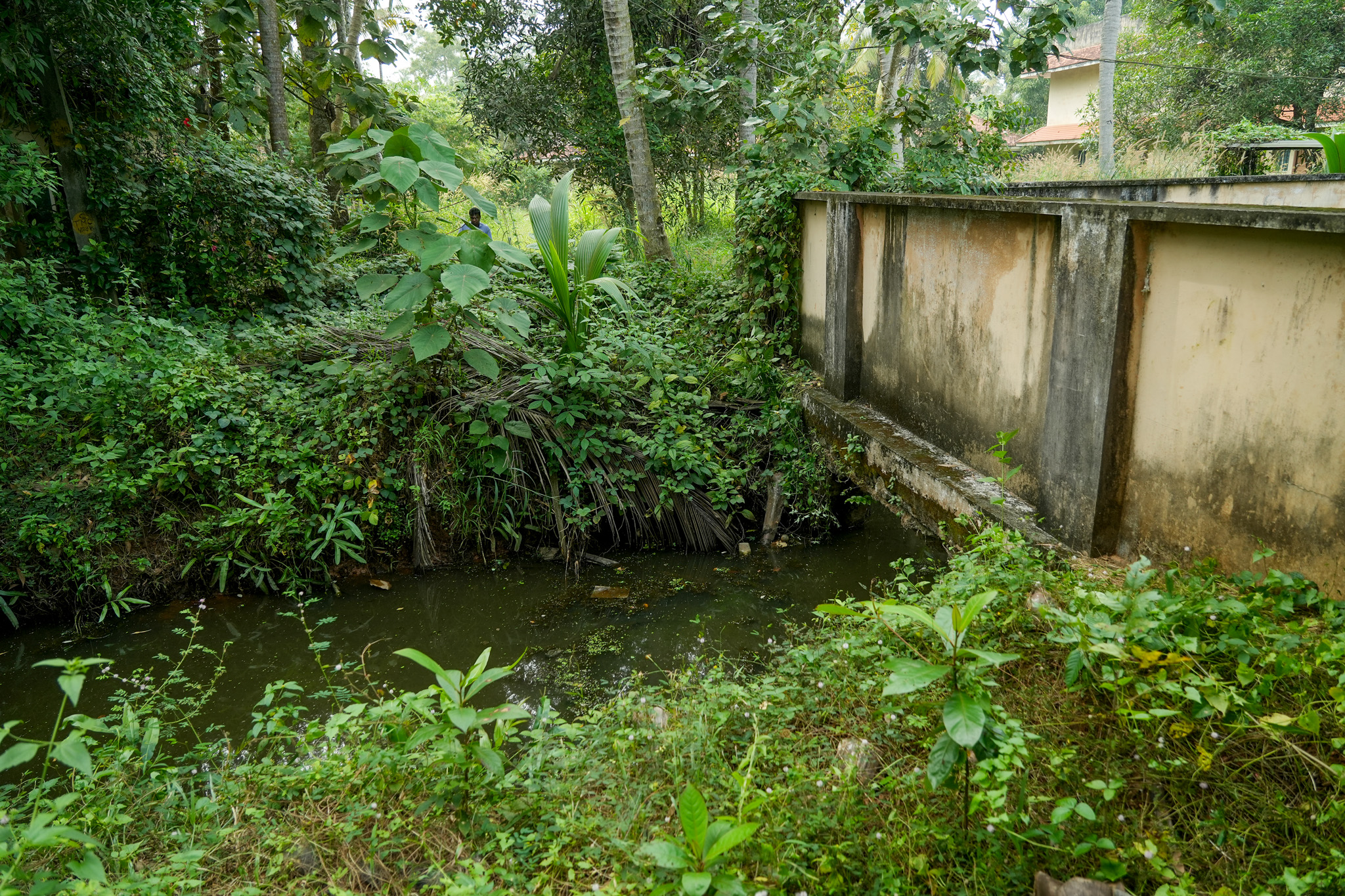 Punjab National Bank Auctions for Residential property in Alappuzha, Kerala image 15 of 24 in Cheppad, Alappuzha | Punjab National Bank auction property