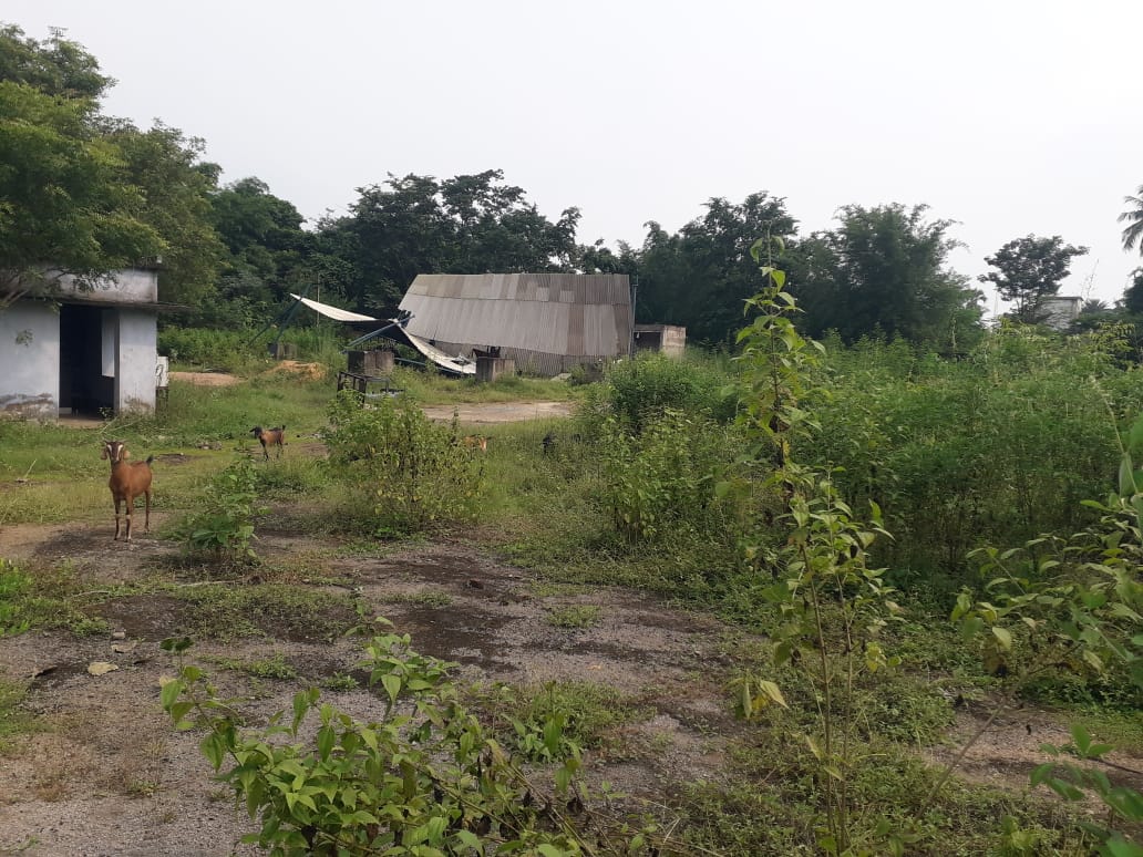 Punjab National Bank Auctions for Industrials property in East Singhbhum, Jharkhand image 4 of 6 in Ghatshila, East Singhbhum | Punjab National Bank auction property