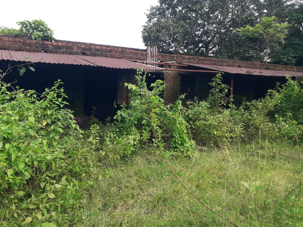 Punjab National Bank Auctions for Industrials property in East Singhbhum, Jharkhand image 5 of 6 in Ghatshila, East Singhbhum | Punjab National Bank auction property