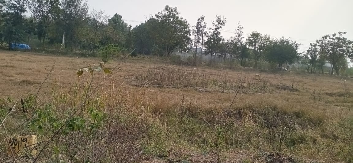 Bank of India Auctions for Residential property in Hyderabad, Telangana image 3 of 4 in Hyderabad, Hyderabad | Bank of India auction property