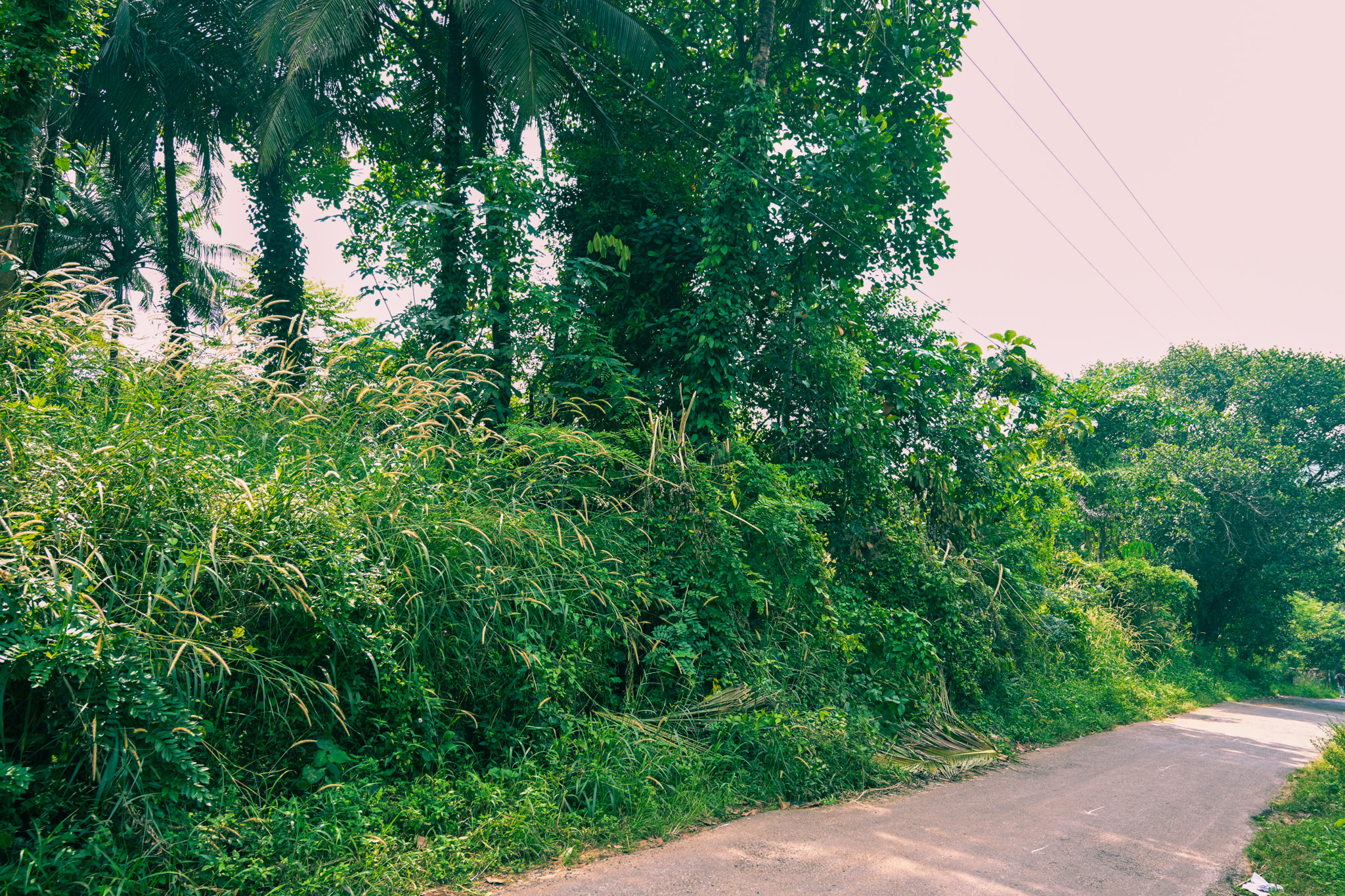 Indian Bank Auctions for Residential property in Palakkad, Kerala image 15 of 20 in Pirayiri, Palakkad | Indian Bank auction property
