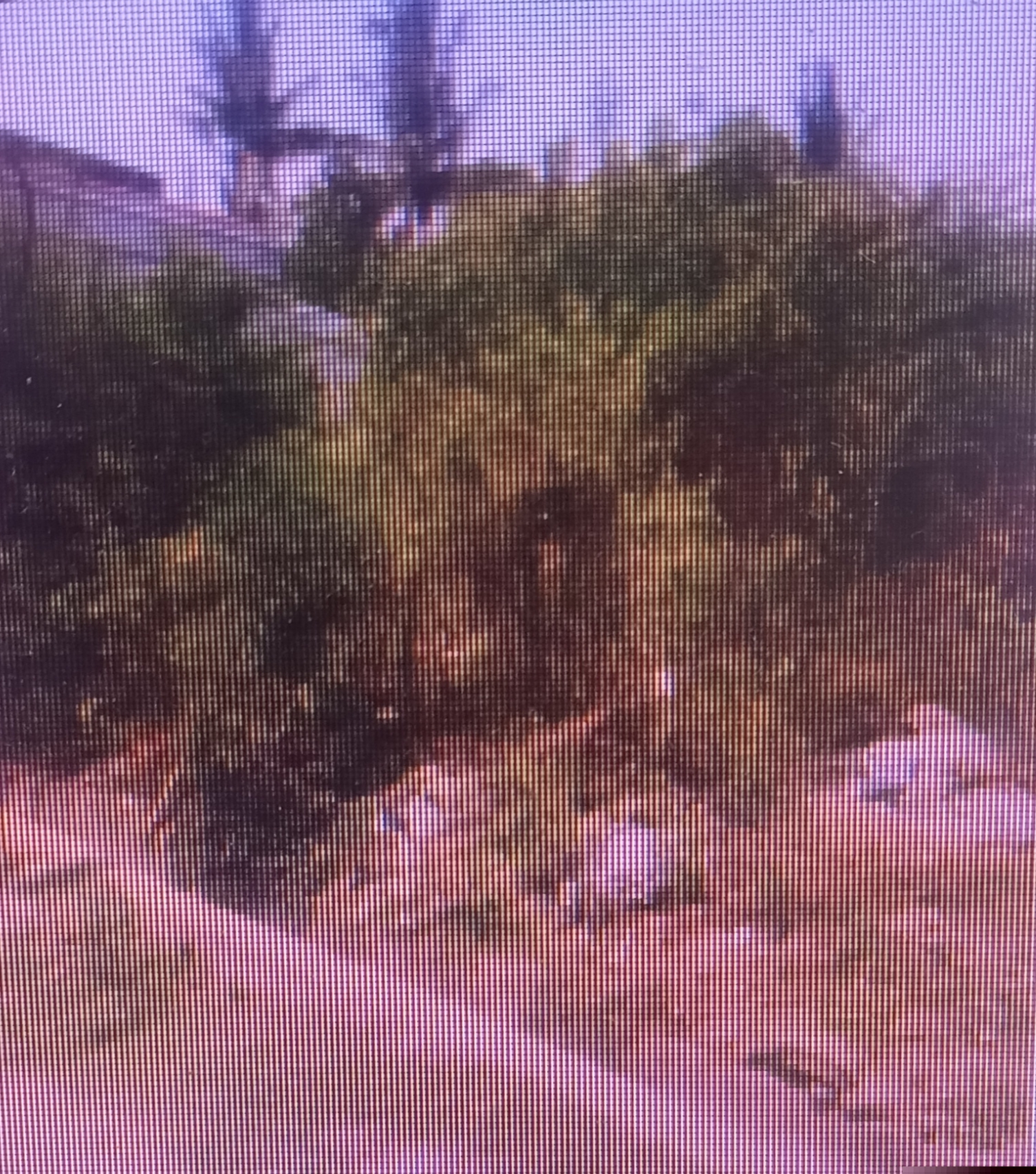 Indian Overseas Bank Auctions for Residential property in Tiruvallur, Tamil Nadu image 2 of 2 in Gummidipoondi, Tiruvallur | Indian Overseas Bank auction property