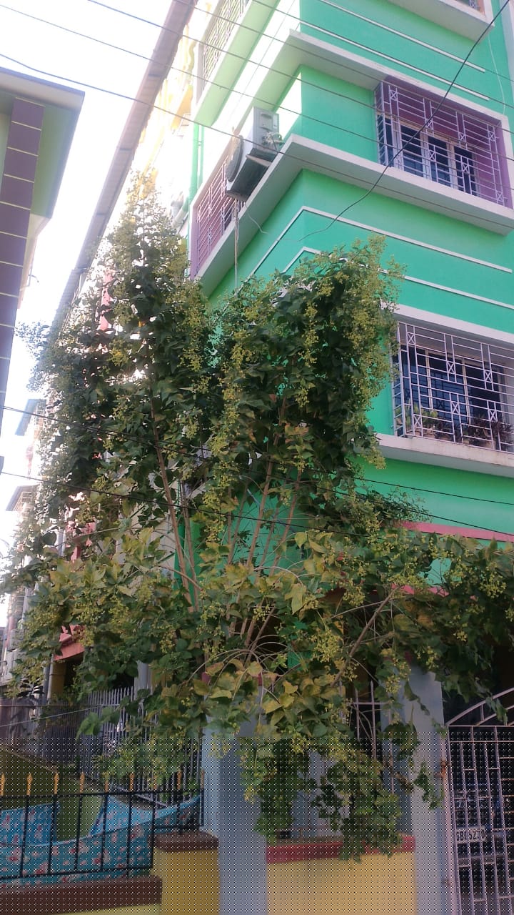 Bank of Baroda Auctions for Residential property in Hooghly, West Bengal image 2 of 3 in Bansberia, Hooghly | Bank of Baroda auction property