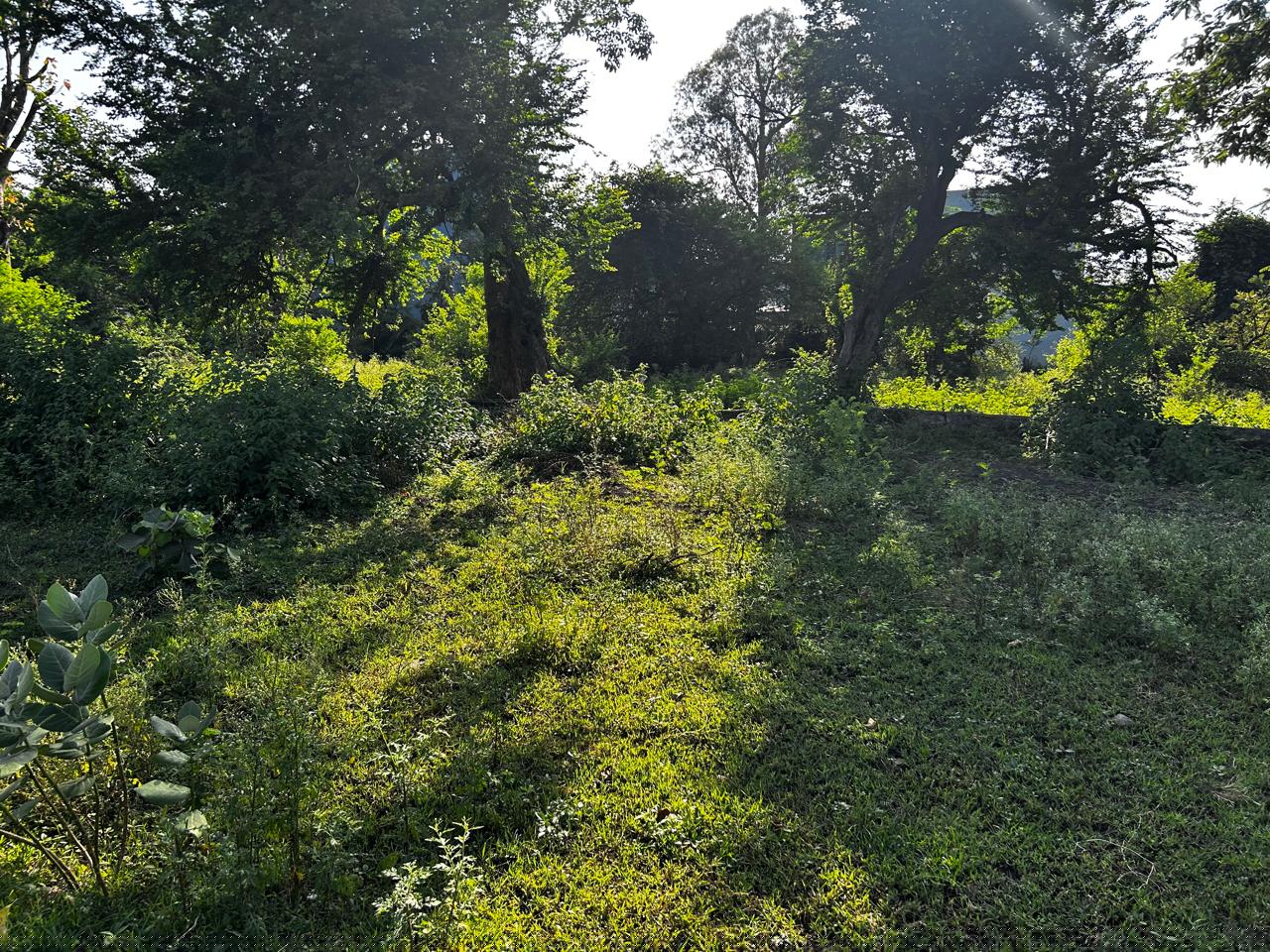 Bank of Baroda Auctions for Residential property in Dewas, Madhya Pradesh image 2 of 2 in Khategaon, Dewas | Bank of Baroda auction property