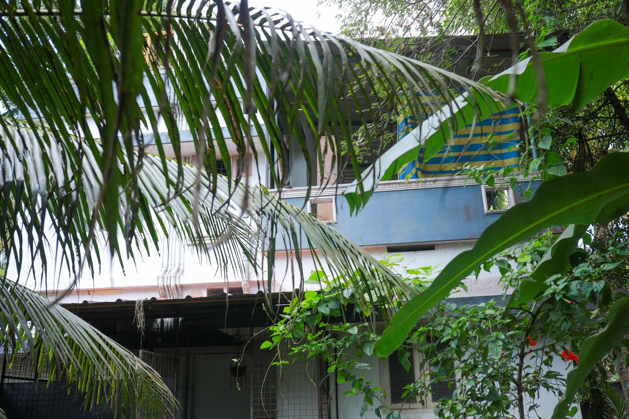 Bank of Baroda Auctions for Residential property in Alappuzha, Kerala image 22 of 25 in Kodamthuruth, Alappuzha | Bank of Baroda auction property