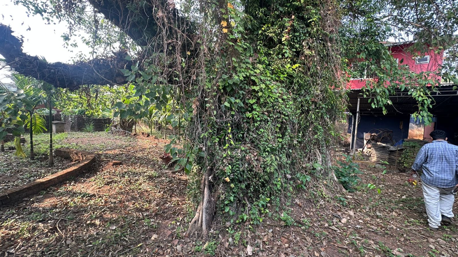 Bank of Baroda Auctions for Residential property in Kozhikode, Kerala image 2 of 8 in Feroke, Kozhikode | Bank of Baroda auction property