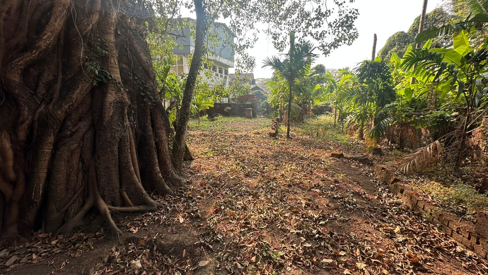 Bank of Baroda Auctions for Residential property in Kozhikode, Kerala image 4 of 8 in Feroke, Kozhikode | Bank of Baroda auction property