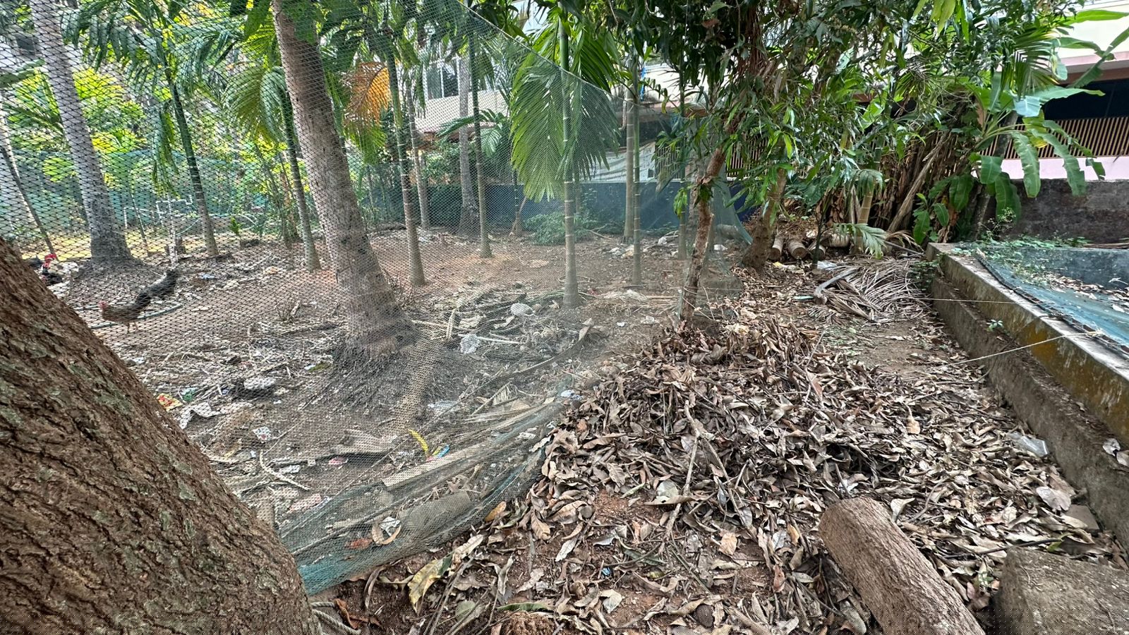 Bank of Baroda Auctions for Residential property in Kozhikode, Kerala image 6 of 6 in Feroke, Kozhikode | Bank of Baroda auction property