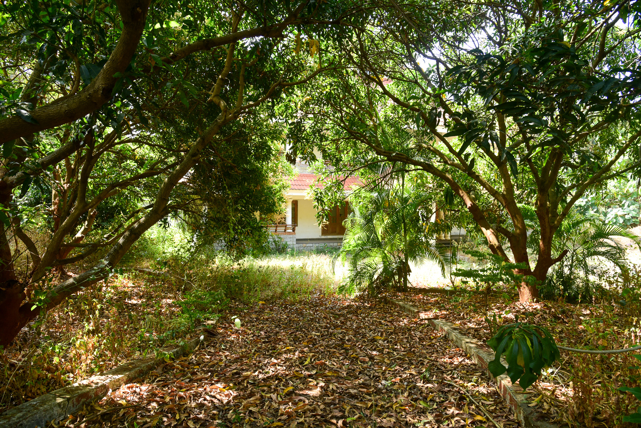 State Bank of India Auctions for Residential property in Palakkad, Kerala image 24 of 24 in Palakkad, Palakkad | State Bank of India auction property