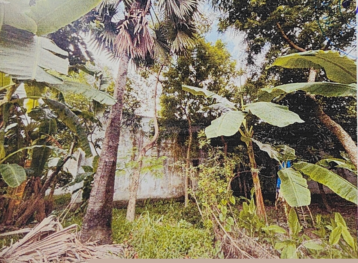 Canara Bank Auctions for Residential property in Vaishali, Bihar image 3 of 4 in Vaishali, Vaishali | Canara Bank auction property