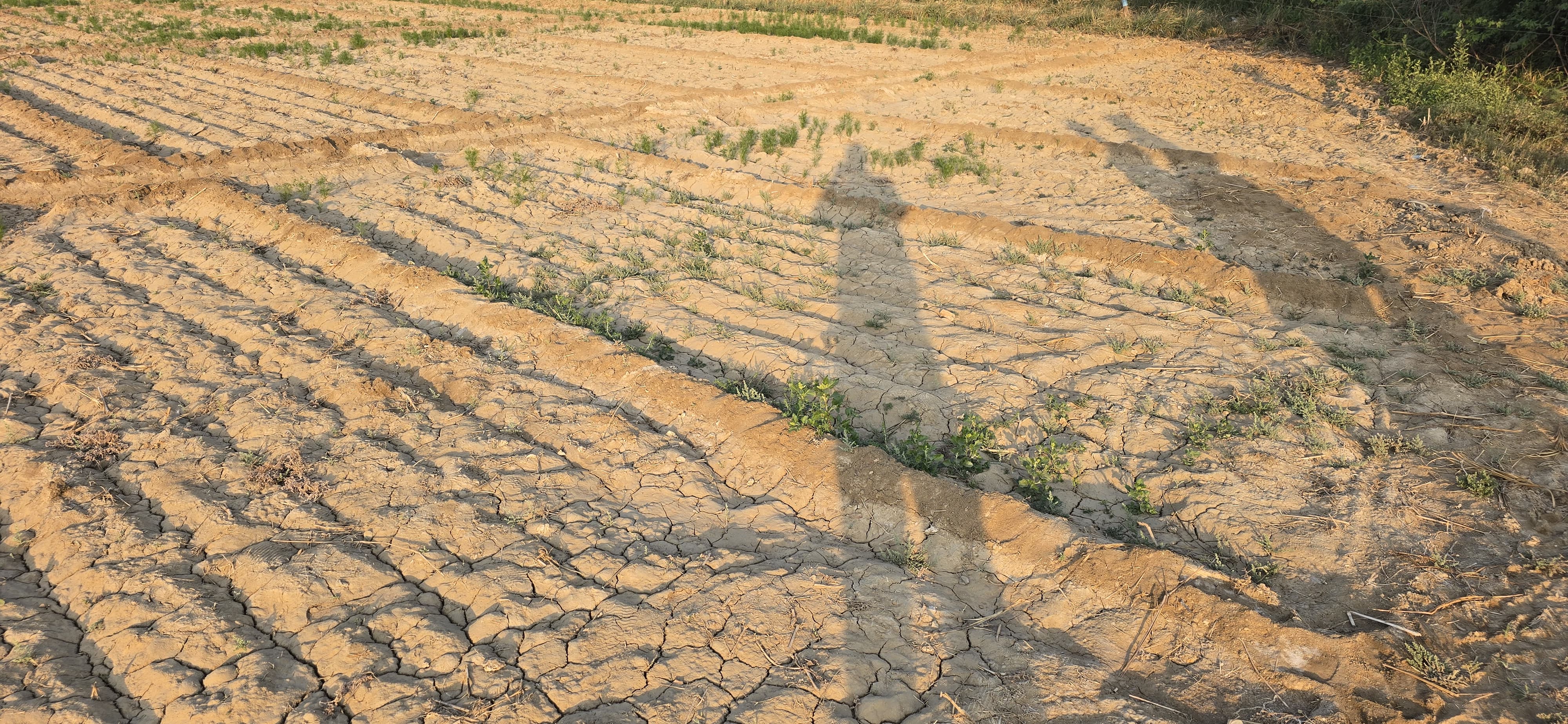 Bank of India Auctions for Commercial property in Patan, Gujarat image 2 of 4 in Radhanpur, Patan | Bank of India auction property