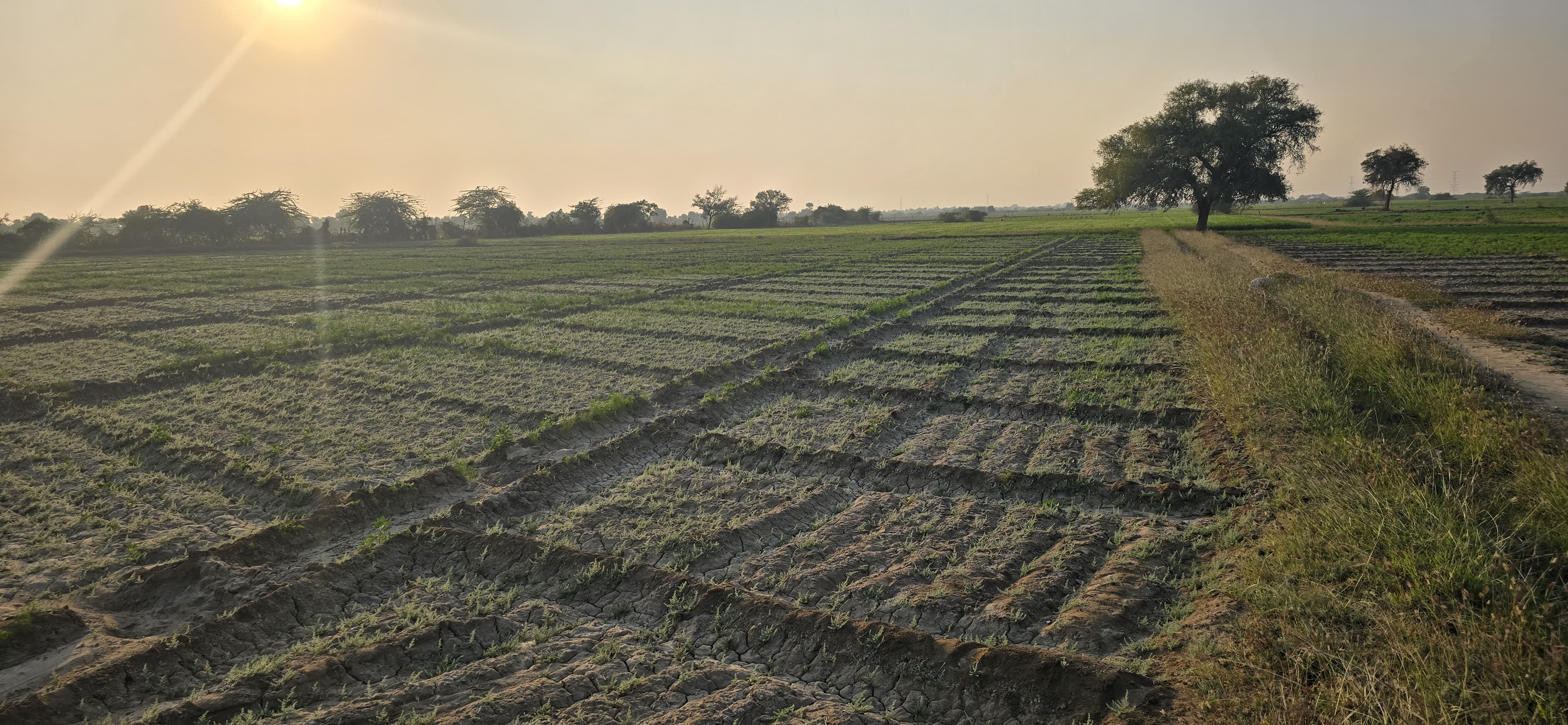 Bank of India Auctions for Commercial property in Patan, Gujarat image 3 of 4 in Radhanpur, Patan | Bank of India auction property