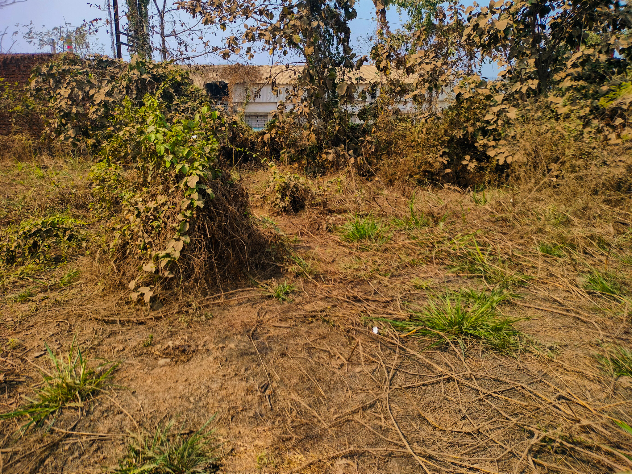 Union Bank of India Auctions for Industrials property in Palghar, Maharashtra image 5 of 23 in Vada, Palghar | Union Bank of India auction property