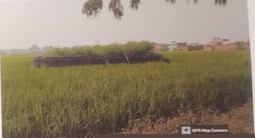 Punjab National Bank Auctions for Residential property in Kaimur, Bihar image 2 of 4 in Mohania, Kaimur | Punjab National Bank auction property