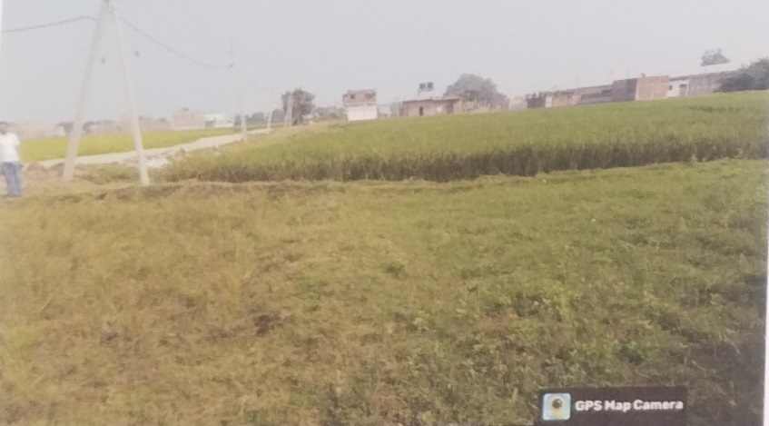 Punjab National Bank Auctions for Residential property in Kaimur, Bihar image 3 of 4 in Mohania, Kaimur | Punjab National Bank auction property