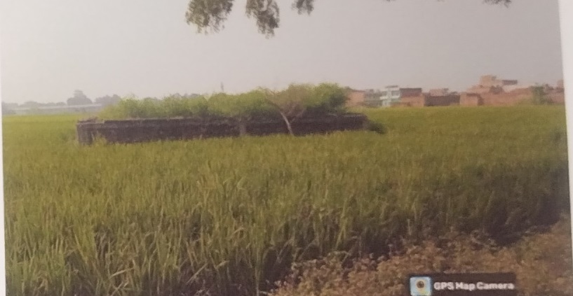 Punjab National Bank Auctions for Residential property in Kaimur, Bihar image 4 of 4 in Mohania, Kaimur | Punjab National Bank auction property