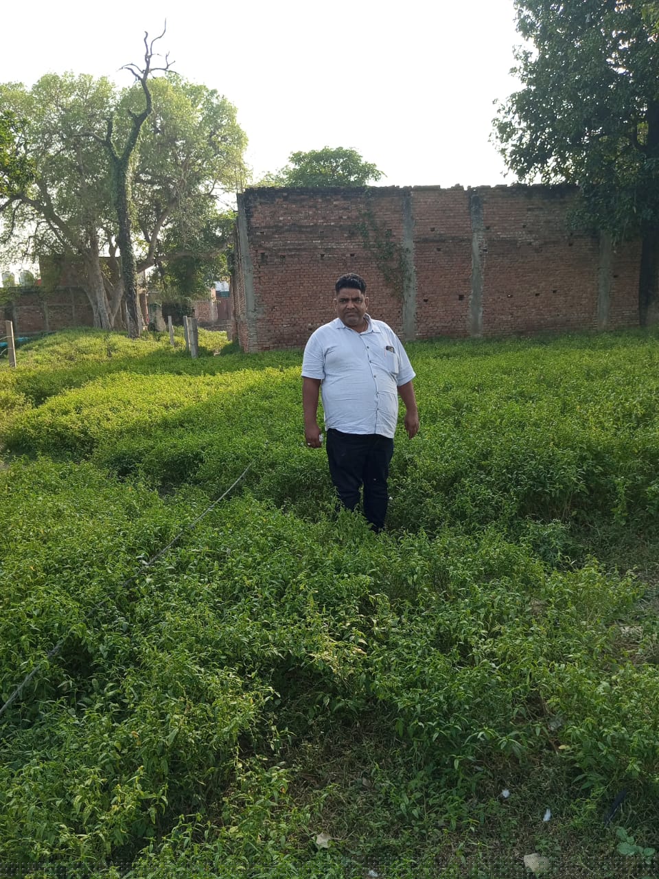 UCO Bank Auctions for Residential property in Bhadohi, Uttar Pradesh image 7 of 7 in Bhadohi, Bhadohi | UCO Bank auction property