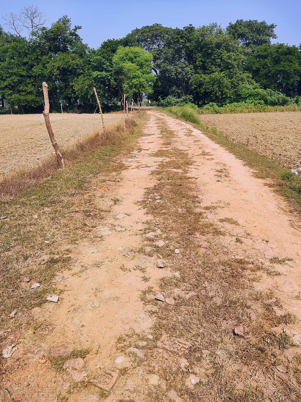 Bank of Baroda Auctions for Industrials property in Amethi, Uttar Pradesh image 9 of 9 in Amethi, Amethi | Bank of Baroda auction property
