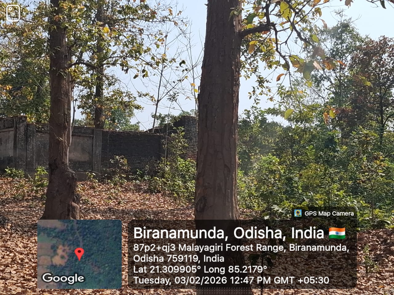 Bank of Baroda Auctions for Residential property in Angul, Odisha image 3 of 4 in Palalahada, Angul | Bank of Baroda auction property